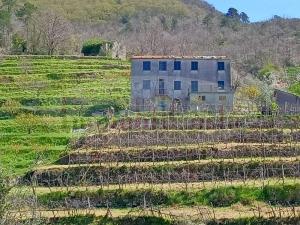 Podere con piu unità abitative e 67.000 mq di terreno tutto unito 296.000€