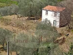 Magazzino indipendente con terreno 38.000,00